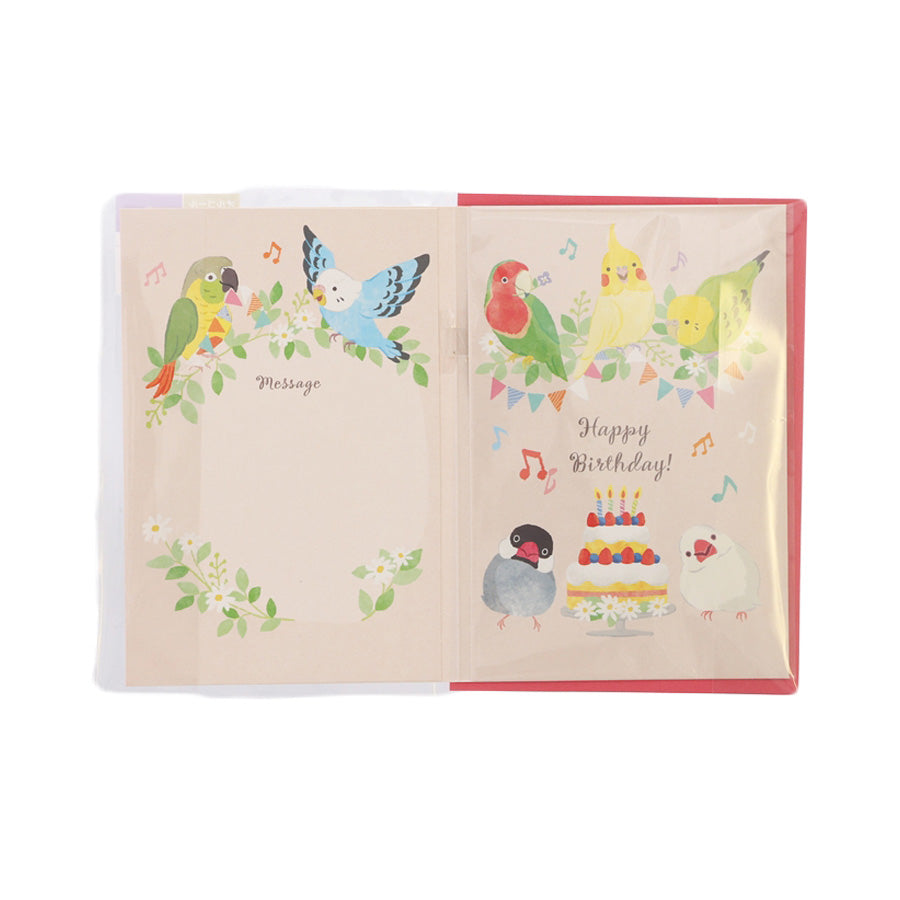HALLMARK Birthday Card Music - Parrot (30g)