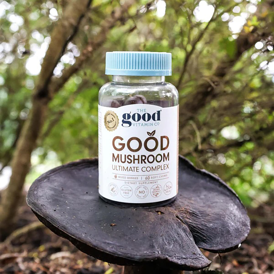 THE GOOD VITAMIN CO Good Mushroom Soft Chews (60pcs)