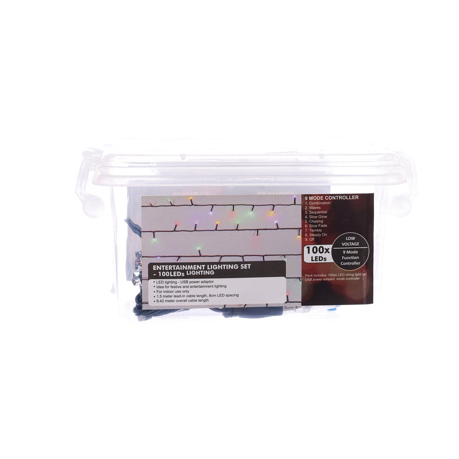 TD A/O Light Chain 100LED 8M Multi Color
