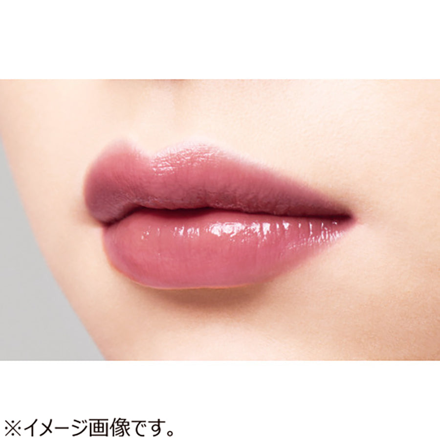 OPERA Lip Tint N 19 Mauve Pink  (3.6g)