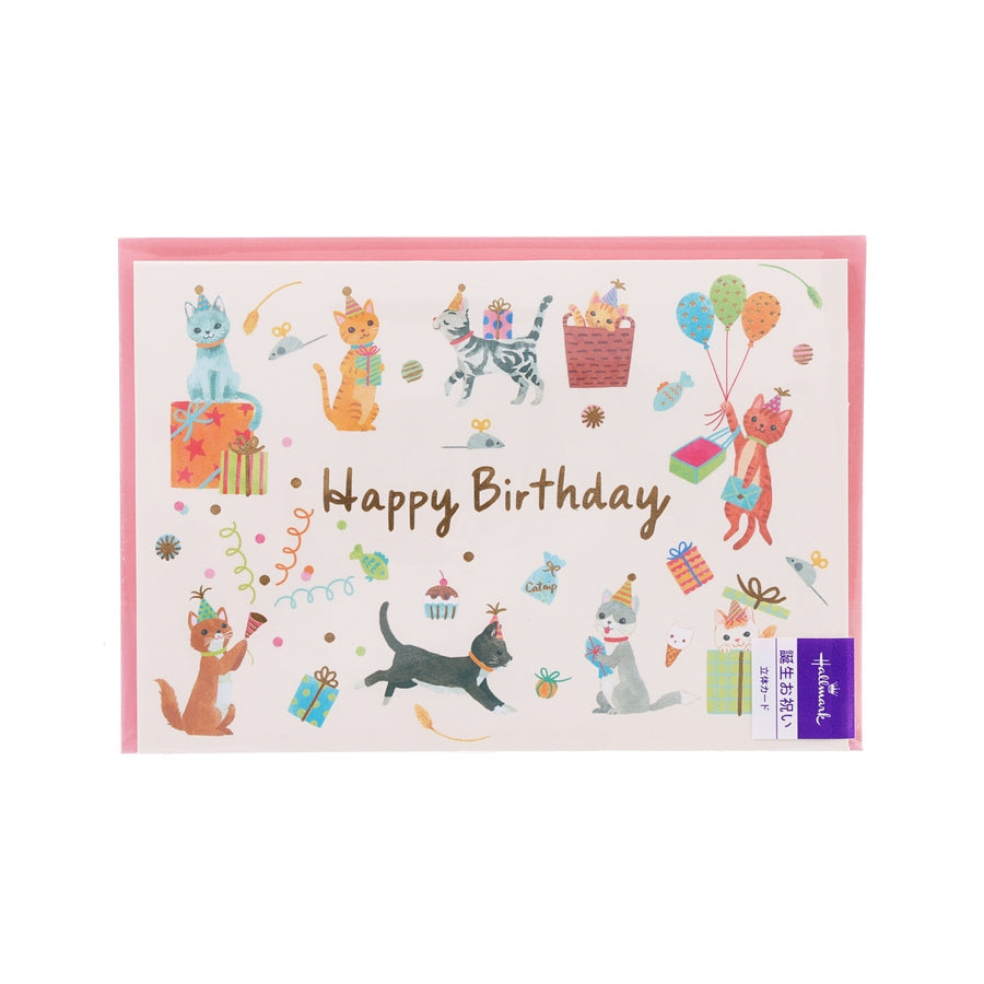 HALLMARK Birthday Card - Have A Fun Party  (20g)