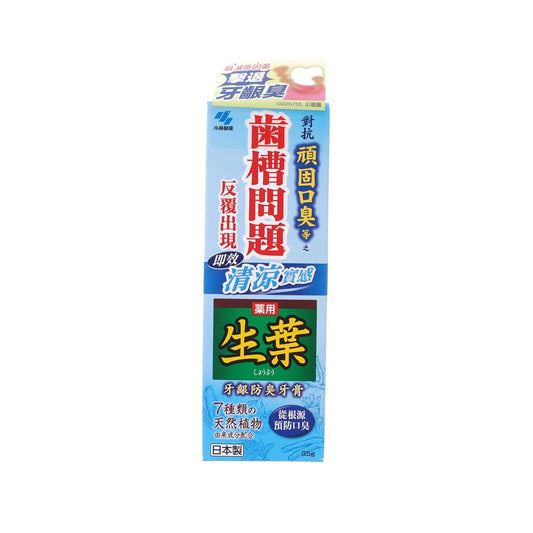 SHOYO Shoyo Odor-Preventing Toothpaste  (95g)