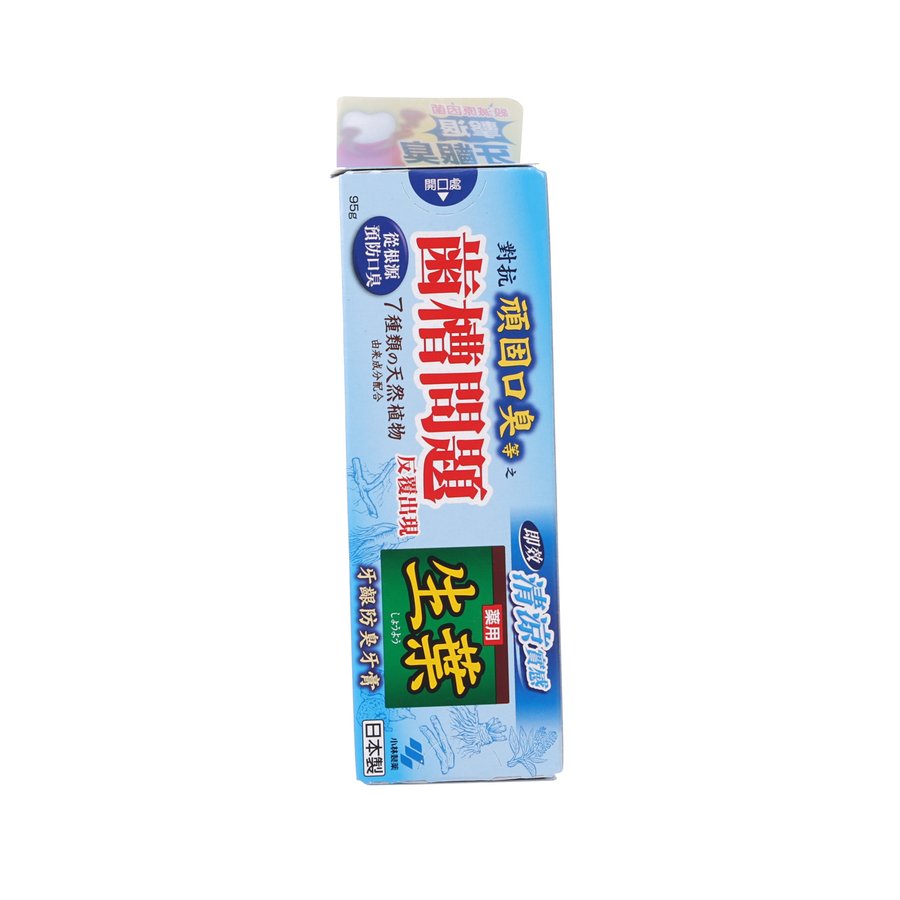 SHOYO Shoyo Odor-Preventing Toothpaste  (95g)