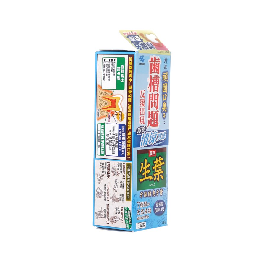 SHOYO Shoyo Odor-Preventing Toothpaste  (95g)