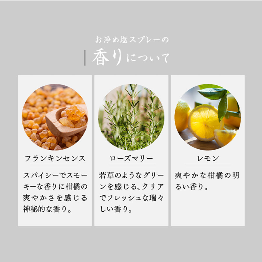 OISESAN Large Purifying Salt Mist - Purify  (300mL)
